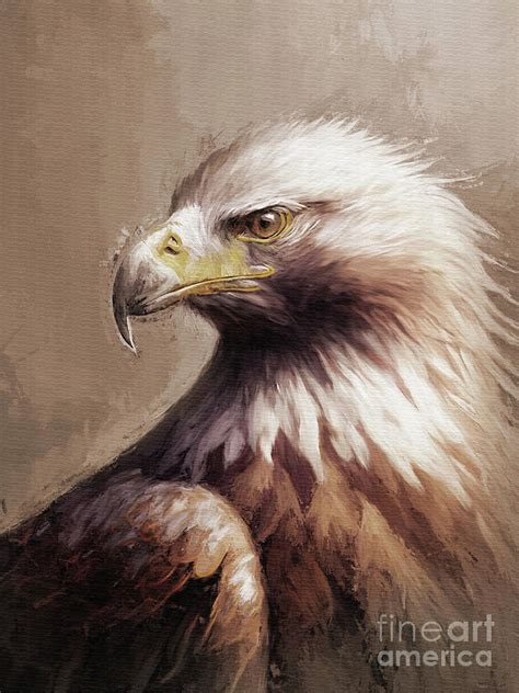 Artist: 5t (popular) .